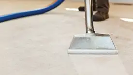 Carpet cleaning wand head gliding over a light carpet during hot-water extraction, Evansville, IN.