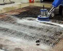 Professional rug cleaning with a rotary floor machine and shampoo foam, deep-cleaning an area rug, in Evansville, IN.