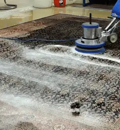 Professional rug cleaning with a rotary floor machine and shampoo foam, deep-cleaning an area rug Evansville, IN.